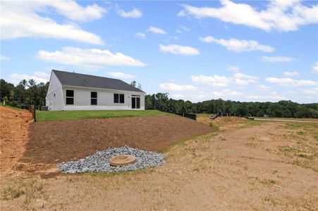 New construction Single-Family house 156 Easton Park Blvd, Dallas, GA 30157 plan Amelia - image