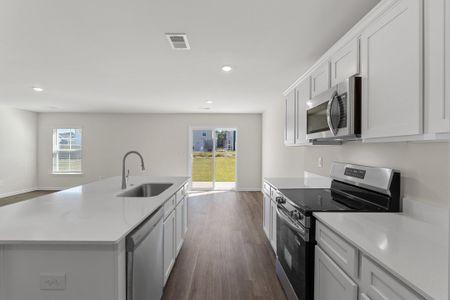 New construction Duplex house 224 S Lake Ct, Lexington, SC 29073 plan Larch Duplex - image 6