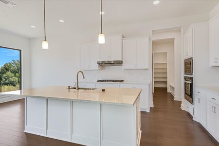 New construction Single-Family house 1209 Stormy Dr, Georgetown, TX 78628 plan Topaz - image 7