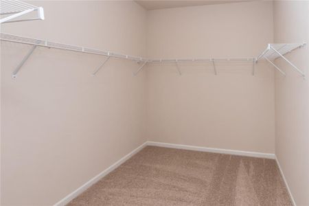 New construction Single-Family house 189 Hydrangea Ct, Dallas, GA 30132 Augusta- photo 15 15