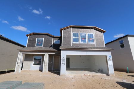 New construction Single-Family house 12146 Hilltop Farms Dr, Dade City, FL 33525 Cabo- photo 60 60