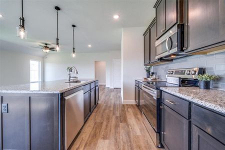 New construction Single-Family house 4213 Baccarat Ln, Sanger, TX 76266 - image 6