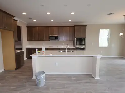 New construction Single-Family house 105 Northbank Ln, Spring Hill, FL 34609 plan Alenza - image