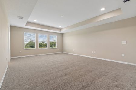 New construction Single-Family house 5800 Freesia Dr, Lakeland, FL 33811 plan Mira Lago - image 17