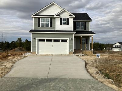 New construction Single-Family house 224 Williamson Place Drive, Princeton, NC 27569 - photo 0