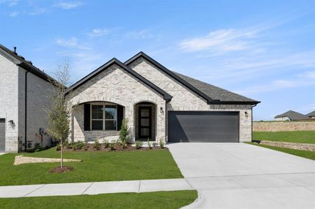 New construction Single-Family house 225 Whitetail Dr, Aledo, TX 76008 - image