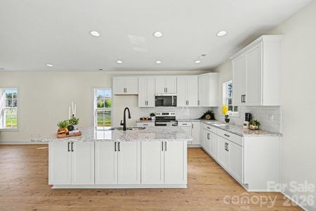 New construction Single-Family house 1030 Redbud Wy, Salisbury, NC 28147 - image 14