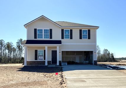New construction Single-Family house Ludowici, GA 31301 plan The Denmark - image 6
