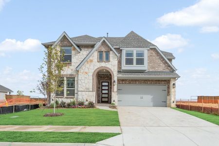 New construction Single-Family house 14542 Lovelace St, Pilot Point, TX 75009 plan Violet IV - image