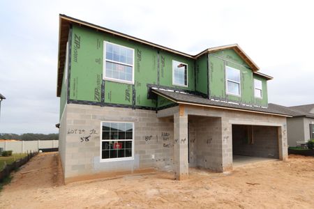 New construction Single-Family house 12294 Hilltop Farms Dr, Dade City, FL 33525 Malibu- photo 59 59