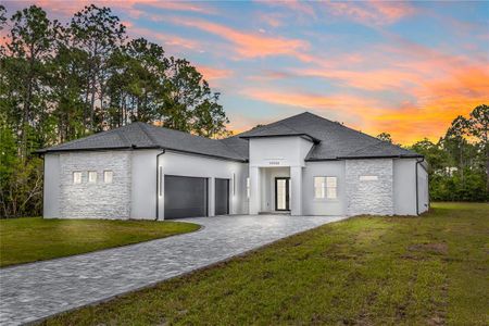 New construction Single-Family house 19536 Mardi Gras St, Orlando, FL 32833 - image