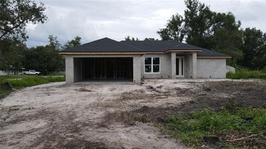 New construction Single-Family house 1452 Ne Lee Dr, Arcadia, FL 34266 - image