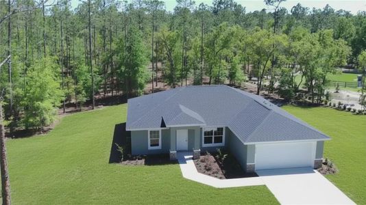 New construction Single-Family house 20760 Sw 90Th Lp, Dunnellon, FL 34431 - image