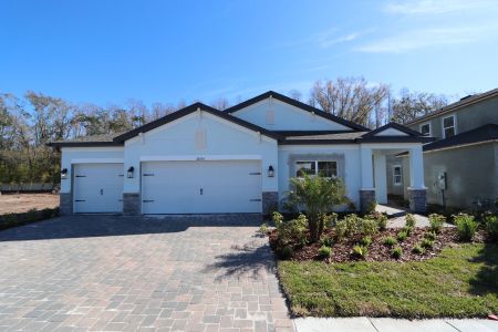 New construction Single-Family house 20339 Oriana Loop, Land O' Lakes, FL 34638 Newport II- photo 115 115