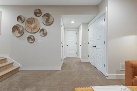 New construction Townhouse house 2878 S Pancratia Street, Denver, CO 80236 - photo 34 34