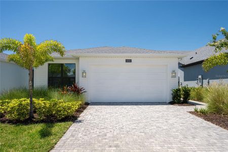 New construction Single-Family house Apollo Beach, FL 33572 - image