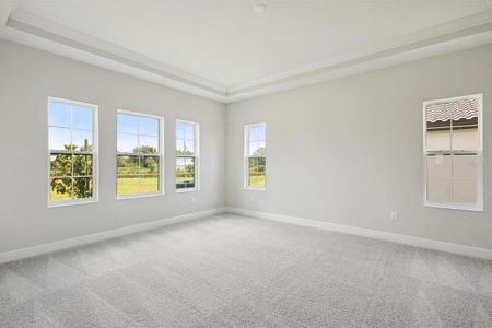 New construction Single-Family house 8216 Liebton Pl, Parrish, FL 34219 Biscayne I- photo 17 17