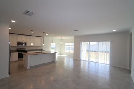 New construction Single-Family house 38350 Tobiano Loop, Dade City, FL 33525 Cabo- photo 140 140