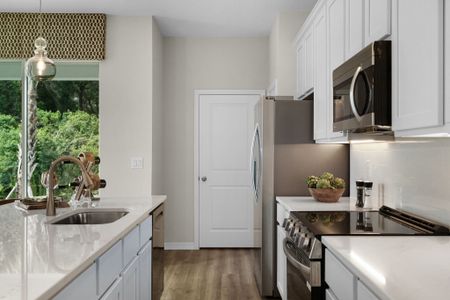 New construction Townhouse house 1125 Red Buckeye Ct, Deland, FL 32720 plan Malory - image 13