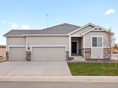 New construction Single-Family house 1624 Yampa River Dr, Windsor, CO 80550 - image