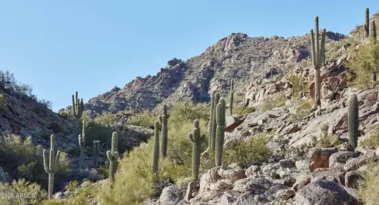 New construction Condo house 4849 N Camelback Ridge Rd, Unit B405, Scottsdale, AZ 85251 - image 8