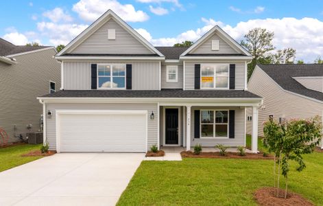 New construction Single-Family house 716 Bluff Oak Dr, Moncks Corner, SC 29461 plan Davidson - image