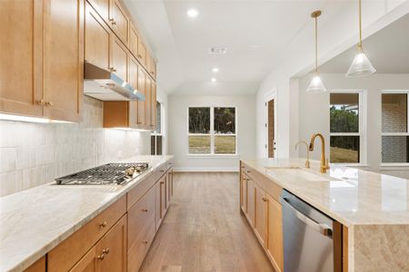 New construction Single-Family house 17225 Alta Madera Ln, Pflugerville, TX 78660 plan Palmer - image 9