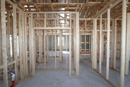 New construction Single-Family house 3142 Adams Cross Dr, Zephyrhills, FL 33540 Picasso- photo 24 24