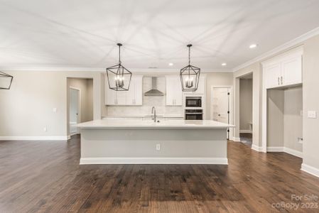 New construction Single-Family house 4024 Red Hill Way, Denver, NC 28037 null- photo 17 17