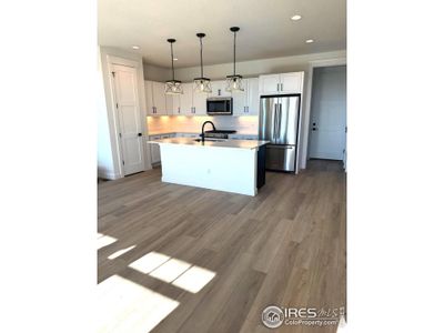 New construction Duplex house 193 Liberty St, Erie, CO 80516 VIlla Series Hickory - photo 0