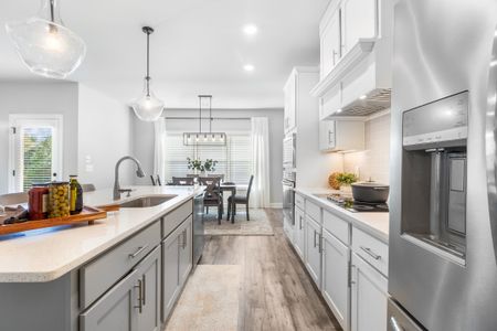 New construction Single-Family house 213 Overcup Ct, Athens, GA 30606 plan (GA)Dylan A.1 2 Front Entry - image 12