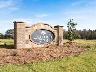 New construction Single-Family house 208 Oak View Ln, Dallas, GA 30157 null- photo 23 23