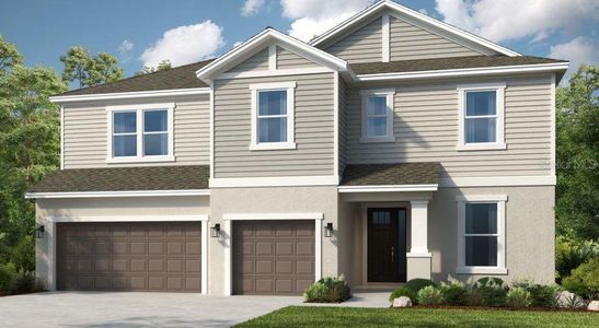 New construction Single-Family house 1645 Longliner Lp, Wesley Chapel, FL 33543 Palm- photo 0