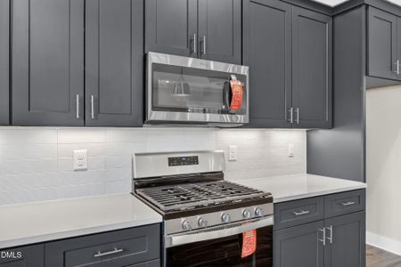 New construction Single-Family house 484 Hillard Ln, Wendell, NC 27591 - image 10