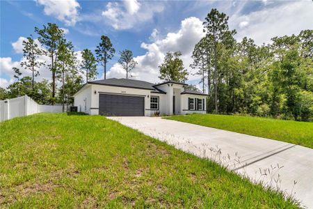 New construction Single-Family house 2433 W Andromedae Dr, Citrus Springs, FL 34433 - image