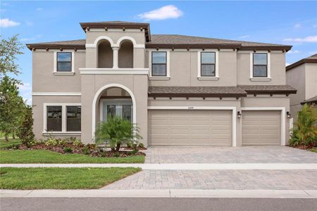 New construction Single-Family house 12840 Twin Bridges Dr, Riverview, FL 33579 Virginia Park- photo 0