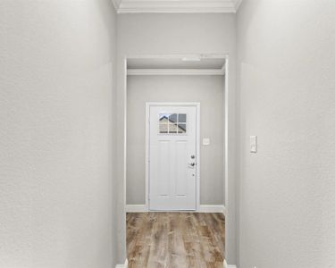 New construction Single-Family house 109 Community Dr, Lavon, TX 75166 plan Nevada - image 17