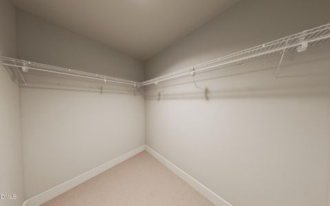 New construction Single-Family house 2011 Pollinator Pl, Mebane, NC 27302 - image 14