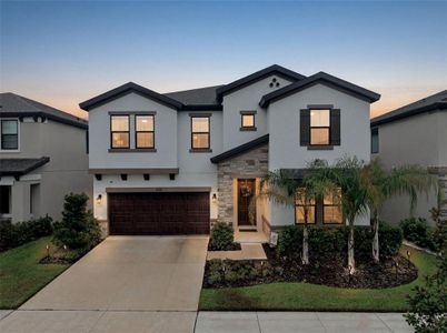 New construction Single-Family house 14759 Gallop Run Dr, Lithia, FL 33547 plan Pelican - image