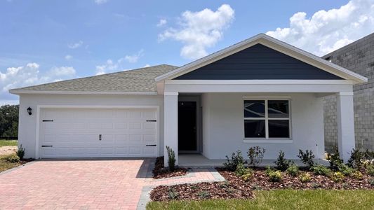 New construction Single-Family house 1109 Gull Dr, Apopka, FL 32703 plan Lakeside - image