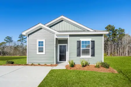New construction Single-Family house 134 Linares St, Loris, SC 29569 plan Alps - image