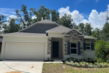 New construction Single-Family house 25122 Ensley Rd, Mount Plymouth, FL 32776 plan Drexel - image