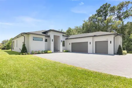New construction Single-Family house 1336 Hays Rd, Tarpon Springs, FL 34689 - image
