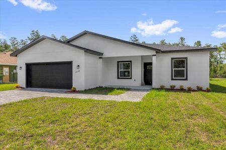 New construction Single-Family house 17190 Sw 44Th Cir, Ocala, FL 34473 - image