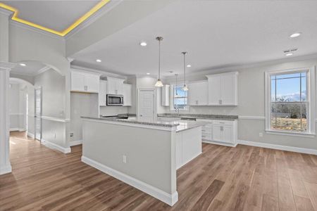 New construction Single-Family house 1032 Messer Farm Ln, Inman, SC 29349 - image 11