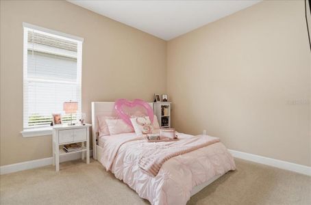 New construction Single-Family house 5034 Caserta Ct, Palmetto, FL 34221 plan Lazio - image 19