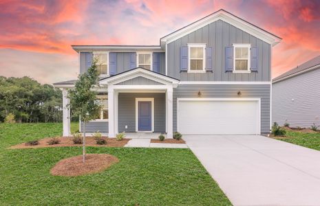 New construction Single-Family house 1108 Salem Bay Dr, Beaufort, SC 29902 plan Whimbrel - image