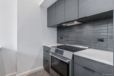 New construction Condo house 1601 Park Ave, Unit 112, Denver, CO 80218 null- photo 13 13