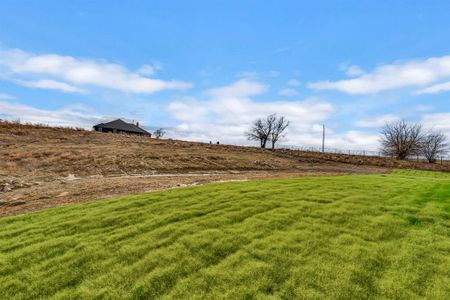 New construction Single-Family house 81 Yosemite Trl, Valley View, TX 76272 Salado- photo 38 38