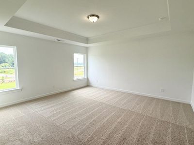 New construction Single-Family house 7 Purackal Ln, Statham, GA 30666 - image 16